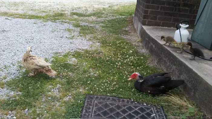 High Point Refrigeration & Air Conditioning Company Picture 7