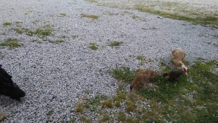 High Point Refrigeration & Air Conditioning Company Picture 9