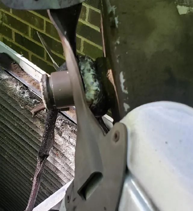 Repair Solutions Picture 7