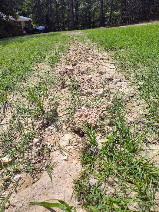 Bell Cow Services Picture 2