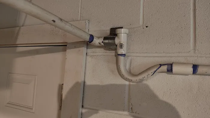 Carolina Comfort Picture 3