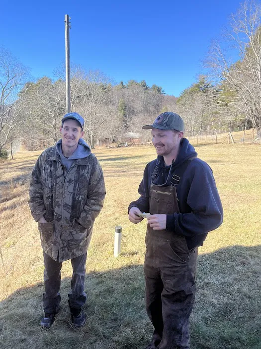 Carolina Comfort Picture 8