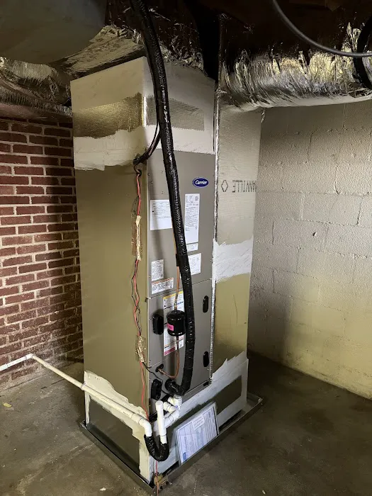 Carolina Comfort Picture 1