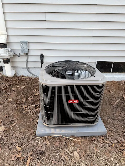 Carolina Comfort Picture 4