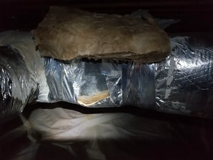 Holmes comfort specialist Picture 1