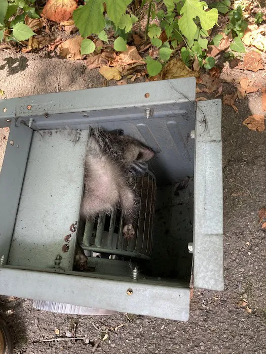 Cantrell's Heat & Air Picture 1