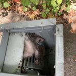 Cantrell's Heat & Air