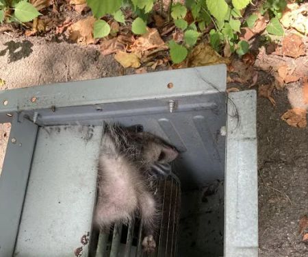 Cantrell's Heat & Air