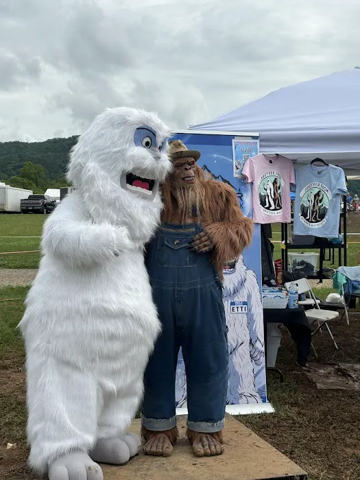 Everest Air - Heating & Cooling Picture 9