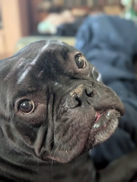 HEP is on the way Picture 4