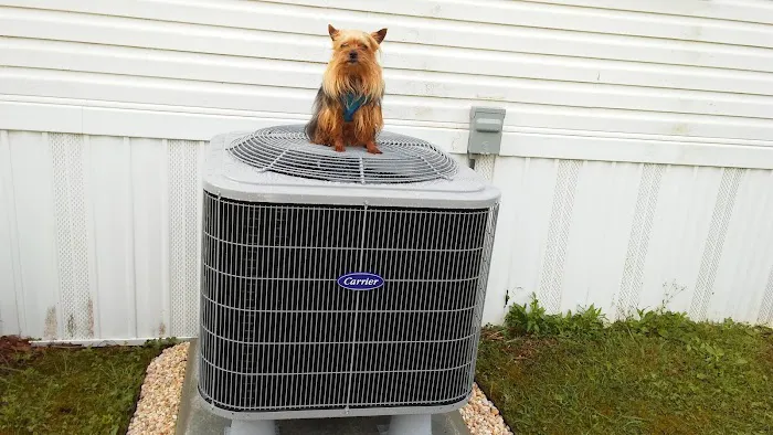 HEP is on the way Picture 7