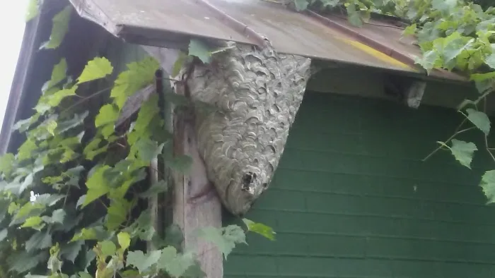 Home Services at The Home Depot Picture 6