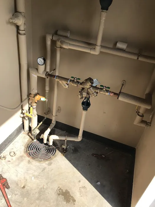 Real Deal Solutions, LLC Picture 2