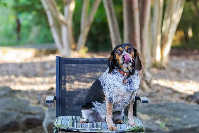 The Plumbing & Air Service Co. Picture 7