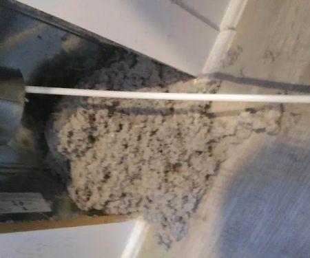 Rick's Dryer Vent Cleaning