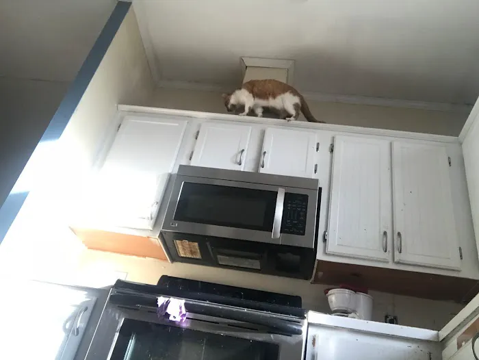 Hometown Appliance Repair Picture 9