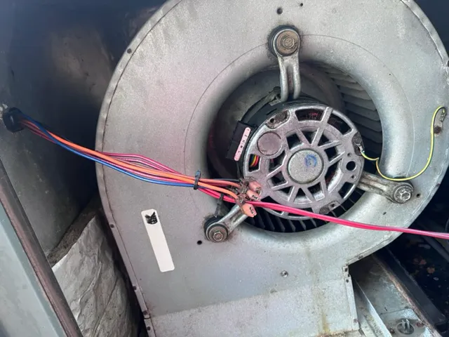 Comfort 101 Picture 10