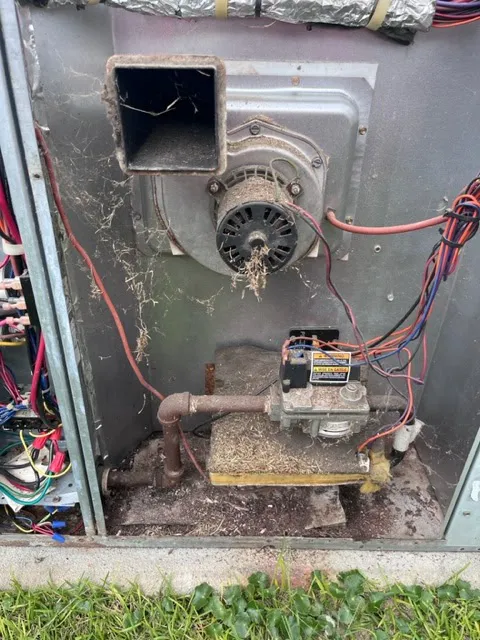 Comfort 101 Picture 4