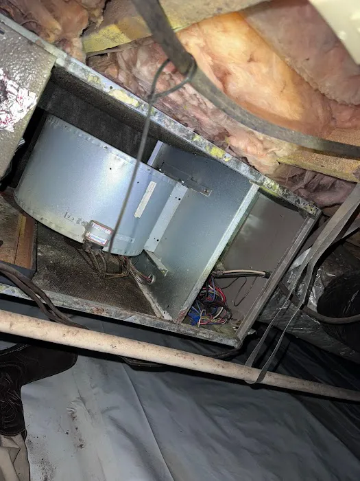 Comfort 101 Picture 5