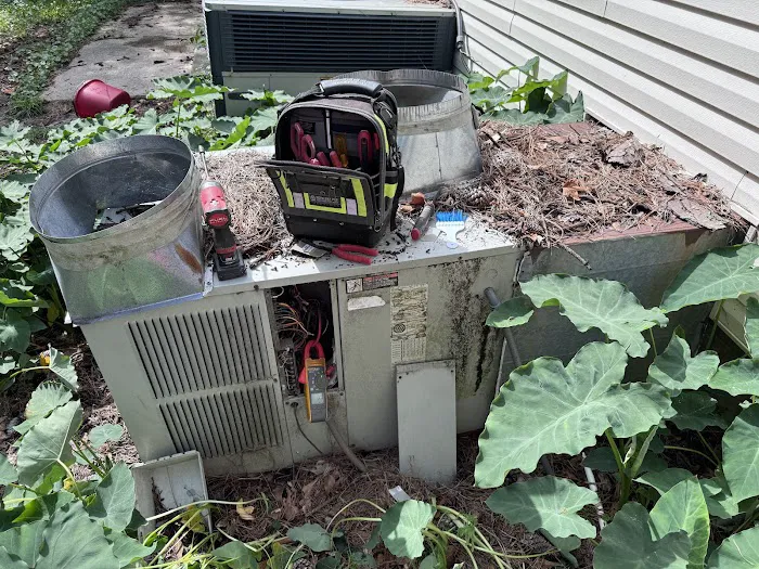 Comfort 101 Picture 3