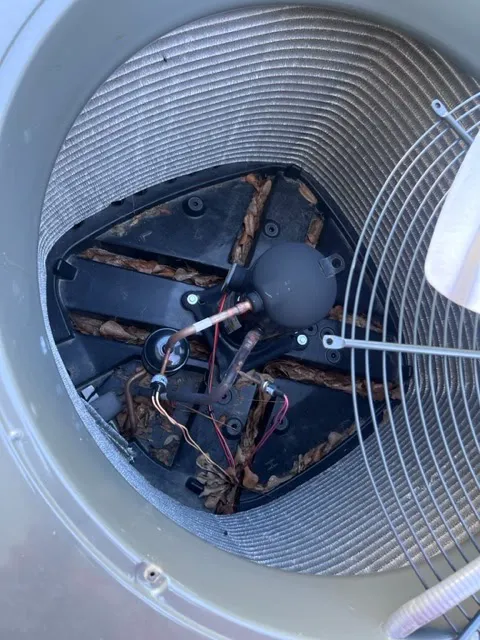 Comfort 101 Picture 7