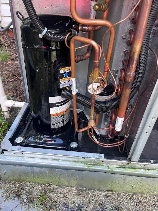 Comfort 101 Picture 2