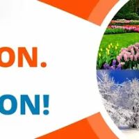 K&W Service and Repair Inc ico