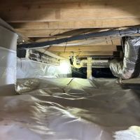 Carolina Temperature Control ico