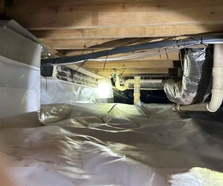 Carolina Temperature Control