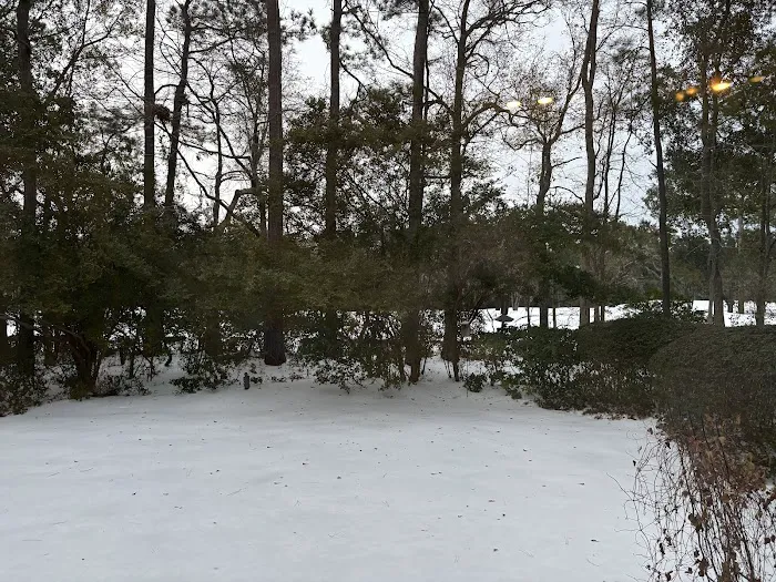 Coastal Air Plus Picture 6