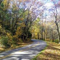 Patrick Heating & Cooling ico