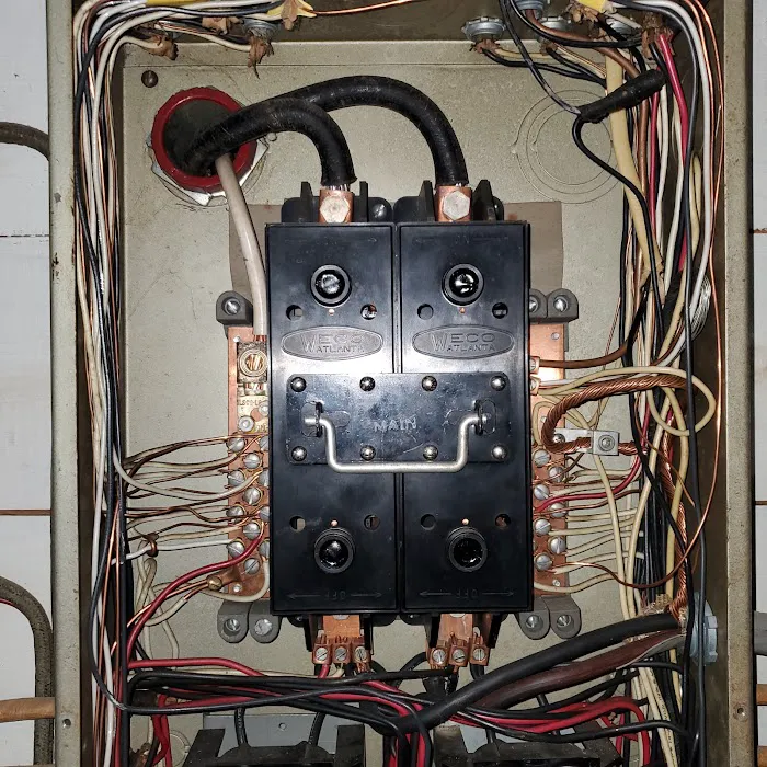 Woodby’s Electric Picture 4