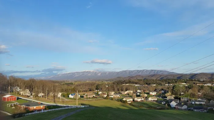 Majestic Air Picture 6