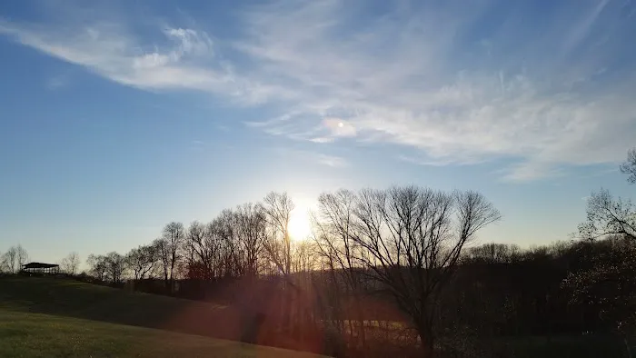 Majestic Air Picture 1