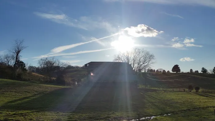 Majestic Air Picture 7