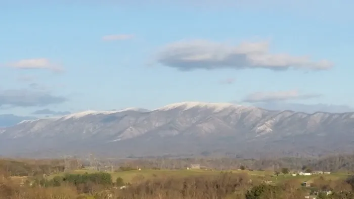 Majestic Air Picture 4