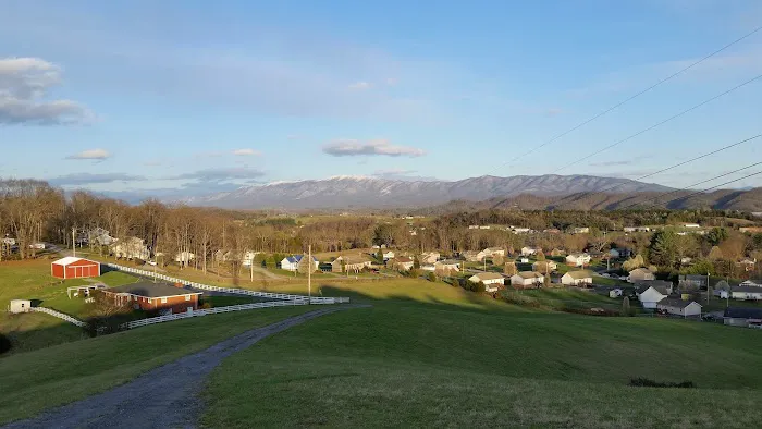 Majestic Air Picture 5