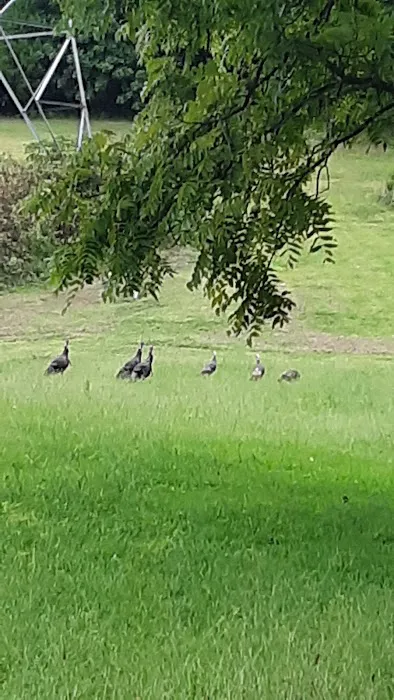 Action Cooling & Heating Picture 1