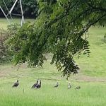 Action Cooling & Heating