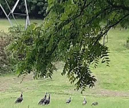 Action Cooling & Heating