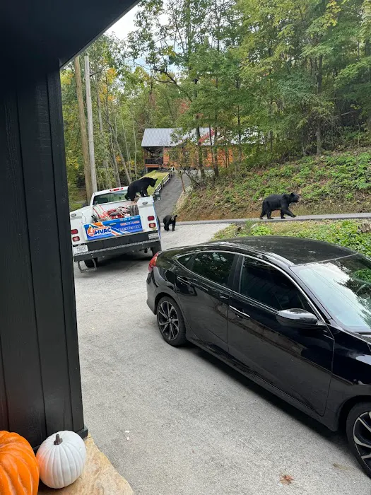 865 HVAC & Plumbing Picture 2