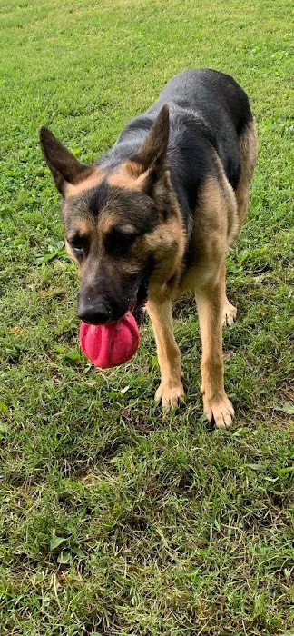 2 Shepherds Heating and Air Picture 4