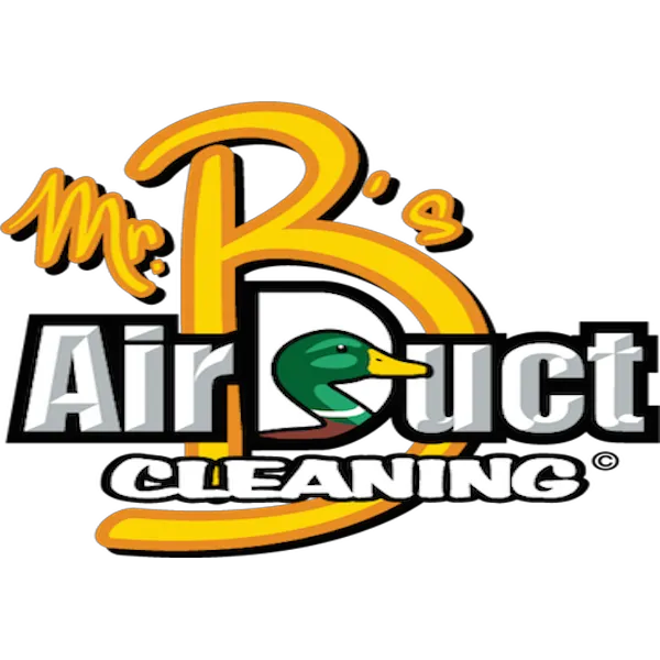 Mr B's Air Duct Cleaning Picture 9