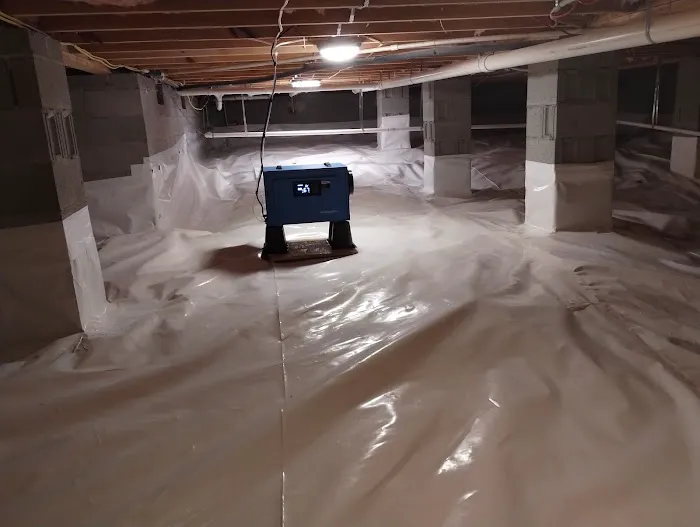 Pipes & Plungers Picture 2