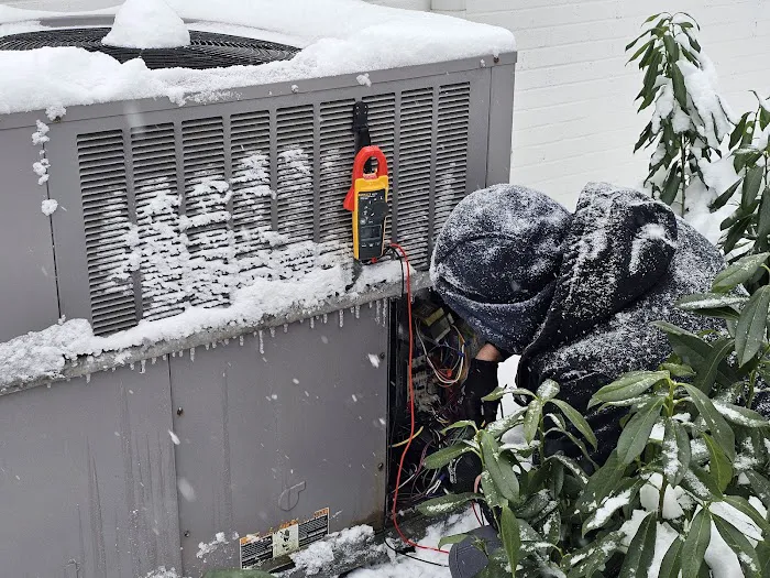 Moonlight Picture 10