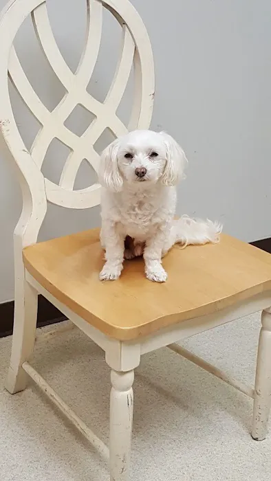 Greensboro Air Conditioning & Heating Systems Picture 1