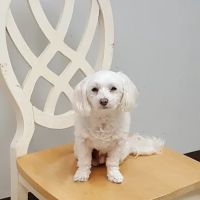 Greensboro Air Conditioning & Heating Systems ico