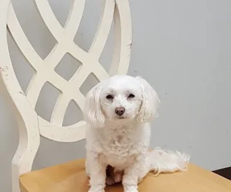 Greensboro Air Conditioning & Heating Systems