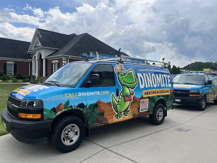 Dinomite Heating and Cooling Picture 6