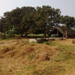 West Star Heating & Air Conditioning